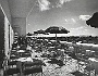 Dalla terrazza del Biri negli anni '50 (solo campagna)
